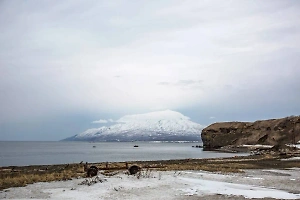 На побережье Сахалина объявили угрозу цунами после землетрясения в Японии