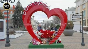 "Трусость, низость. Так нельзя": Жители Белгорода рассказали, что чувствуют после атаки ВСУ