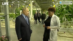 "Приличный помидор": Путин похвалил чукотские овощи и поразился ценам на привозные