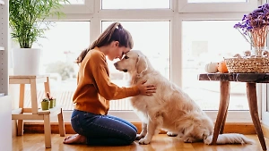Спасут от депрессии: 6 пород собак, идеально подходящих для одиноких людей