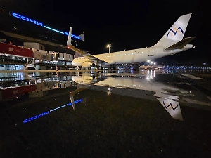 В сочинском аэропорту ввели план "Ковёр" из-за возможных атак беспилотников