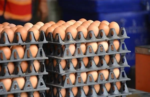 В России снова упали цены на яйца