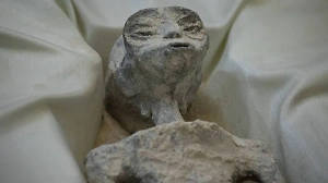 Взорвавшие Сеть перуанские "мумии инопланетян" оказались собраны из костей животных и камней