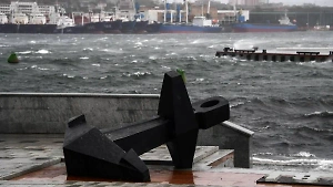 На побережье Приморья отменили угрозу цунами, высота волны составила 63 см