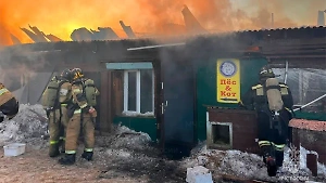 Около 500 кошек и собак эвакуировали из горящего приюта на Сахалине