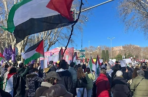 В Мадриде около 25 тысяч человек вышли на акцию в поддержку Палестины