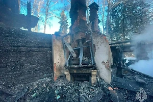 11-летний праправнук маршала Соколовского сгорел при пожаре в Подмосковье