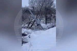 Подавленный РЭБ украинский беспилотник упал на дерево в Нижегородской области