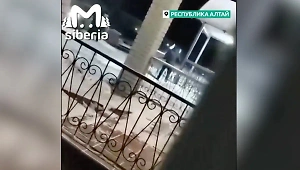 Житель Алтая открыл стрельбу из ружья из-за громкой музыки в баре