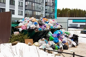 Более миллиона тонн мусора произвели россияне за новогодние праздники