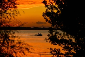 Четырёх украинских «водолазов»-уклонистов выловили из «реки спасения» во время побега в Венгрию