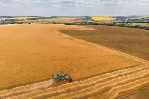 Засуха в Курской области привела к режиму ЧС