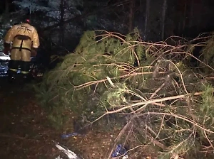 Разбившимся в Кировской области вертолётом Ми-2 управлял опытный лётчик