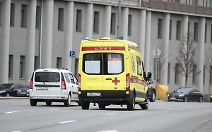 Мальчику, которого покусала пантера в цирке в Ангарске, наложили пять швов