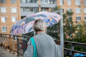 Подмосковье в начале ноября окажется в плену дождей и ветра