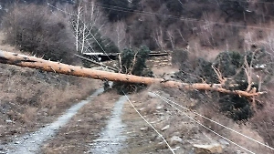 Более 50 тысяч жителей Дагестана остались без света из-за ветра и снегопада