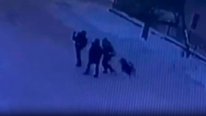 Камера сняла, как в Иркутске собака повалила ребёнка на землю и вцепилась ему в лицо