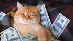 Пушистые талисманы: Эти 6 пород кошек станут вашим магнитом для денег