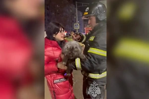"Это наш член семьи!": Спасатели вызволили маленькую собаку из горящего дома в Анапе