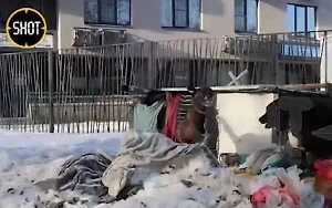 Пенсионер из Курска превратил двор многоэтажки в приют для бездомных собак