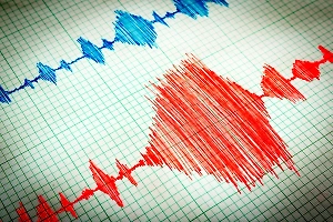 У берегов Японии зафиксировано землетрясение магнитудой 5,1