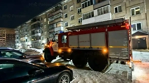 Два человека погибли при пожаре в квартире в новосибирской многоэтажке