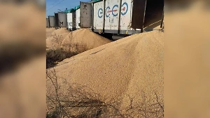 В Польше неизвестные высыпали из вагонов 160 тонн украинского зерна