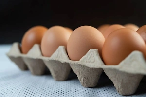 Глава ФАС Шаскольский заявил о тенденции к снижению цен на куриные яйца в России