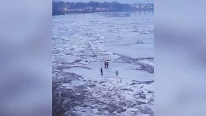 Трое детей с собакой откололись на льдине в Новгородской области