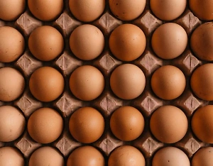 Эксперты объяснили, кто виноват в росте цен на яйца
