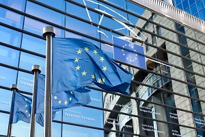 Евросоюз начнёт переговоры о членстве Боснии и Герцеговины