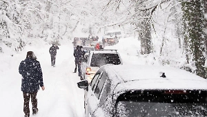 Столкнулось почти 50 авто: Сразу два массовых ДТП произошли в Подмосковье из-за снегопада