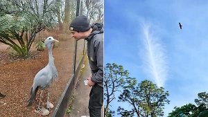 10 запутанных фотографий, на которые придётся поглазеть, прежде чем поймёте, что там происходит 