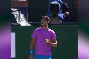 Рой пчёл атаковал теннисистов на турнире ATP, пришлось спасаться бегством
