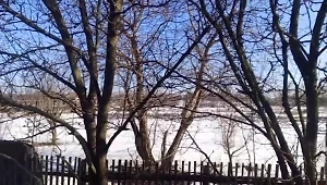 Власти Курской области назвали фейком видео стрелкового боя с украинской ДРГ
