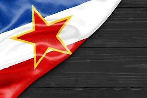 Экс-глава МИД Югославии Йованович: НАТО обязано возместить Сербии ущерб