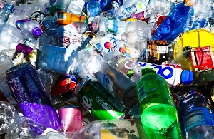 Российские учёные нашли личинок, способных спасти человечество от экологической катастрофы