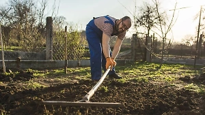 Календарь садовода на апрель 2024-го: Благоприятные дни для посадки овощей на даче