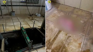 В Москве завели дела после обнаружения мёртвых младенцев на насосной станции