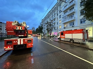 Глава МЧС Куренков: С начала года в РФ при пожарах погибли 115 детей