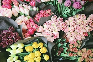 Флористы помогли подобрать к 8 Марта цветы, которые простоят дольше всего