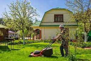 За что и на сколько будут штрафовать дачников в 2025 году: 10 новых штрафов
