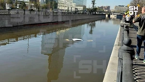 В Москве автомобиль на полном ходу съехал в Яузу