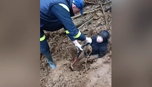 Спасатели откопали ребёнка, застрявшего в грязи во время прогулки в Перми