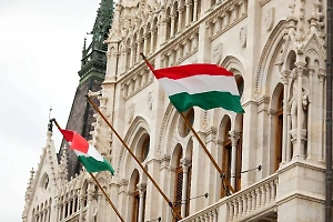 В Венгрии отреагировали на требование Эстонии лишить страну права голоса в ЕС
