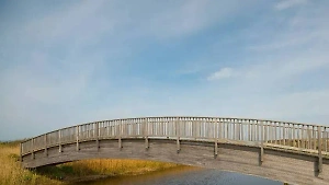 Женщину с ребёнком сдуло с «танцующего» моста в Забайкалье, мальчика удалось спасти