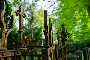 Полиция спасла двух человек, которых заживо закопали ради жуткого обряда под Петербургом