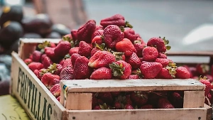 Россия в марте нарастила импорт клубники из Китая до рекордных 3,4 млн долларов