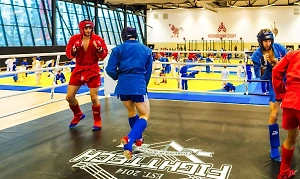 В Москве планируется масштабное обновление районных спортивных объектов