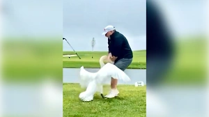 Трамп сообщил, что на Уиткоффа напал лебедь во время игры в гольф
